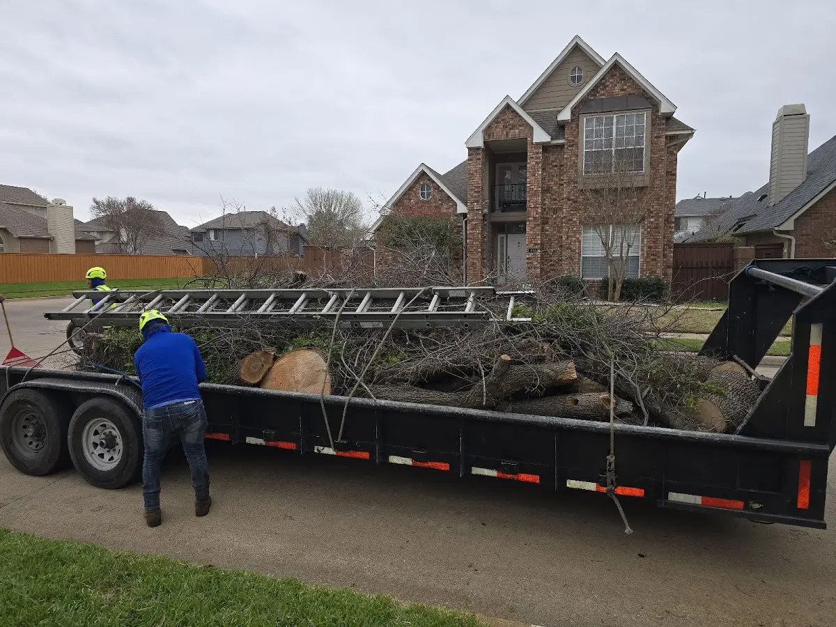 Expert Tree Fertilization with proper safety equipment in North Brookfield